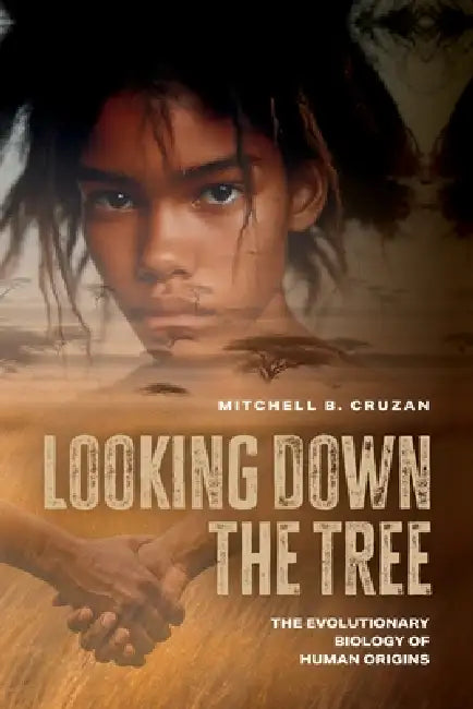 Looking Down the Tree: The Evolutionary Biology of Human Origins by Mitchell B. Cruzan