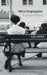 Micro-Segregation: A Social History by Martin Ruef, Angelina Grigoryeva