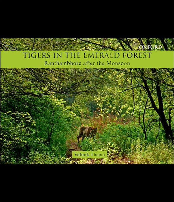 Tigers In The Emerald Forest : Ranthambhore after the Monsoon