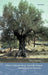 Olive Cultivation in Ancient Greece: Seeking the Ancient Economy by Lin Foxhall