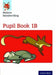 Nelson Handwriting: Year 1/Primary 2: Pupil Book 1B by Anita Warwick