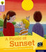 Oxford Reading Tree Explore with Biff, Chip and Kipper: Oxford Level 1+: A Picnic at Sunset by Paul Shipton