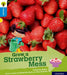 Oxford Reading Tree Explore with Biff, Chip and Kipper: Oxford Level 3: Grow a Strawberry Mess by Catherine Baker