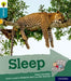 Oxford Reading Tree Explore with Biff, Chip and Kipper: Oxford Level 9: Sleep by Claire Llewellyn