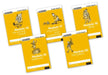 Read Write Inc. Fresh Start: Modules 16-20 - Mixed Pack of 5 by Gill Munton