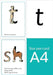 Read Write Inc. Phonics: Set 1 Speed Sounds Cards (A4) by Ruth Miskin