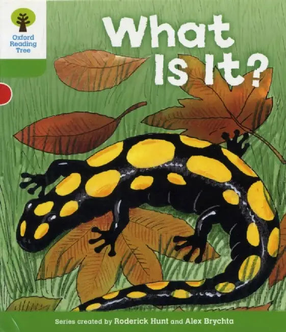 Oxford Reading Tree: Level 2: More Patterned Stories A: What Is It? by Roderick Hunt