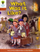 Oxford Reading Tree: Level 8: More Stories: What Was It Like? by Roderick Hunt