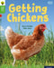 Oxford Reading Tree Word Sparks: Level 2: Getting Chickens by Becca Heddle