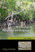 Biology of Mangroves 3e Bohs P by Hogarth