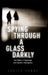 Spying Through a Glass Darkly: The Ethics of Espionage and Counter-Intelligence by Cécile Fabre