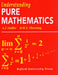 Understanding Pure Mathematics by A. J. Sadler
