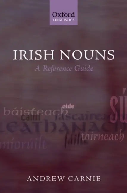 Irish Nouns: A Reference Guide by Andrew Carnie
