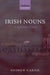 Irish Nouns: A Reference Guide by Andrew Carnie