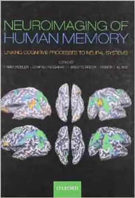 Neuroimaging Of Human Memory : Linking Cognitive Processes to Neural Systems by Frank R÷sler, Others