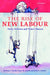 The Rise of New Labour: Party Policies and Voter Choices by Ian St John