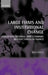 Large Firms and Institutional Change: Industrial Renewal and Economic Restructuring in France by Bob Hancke, Bob Hanck