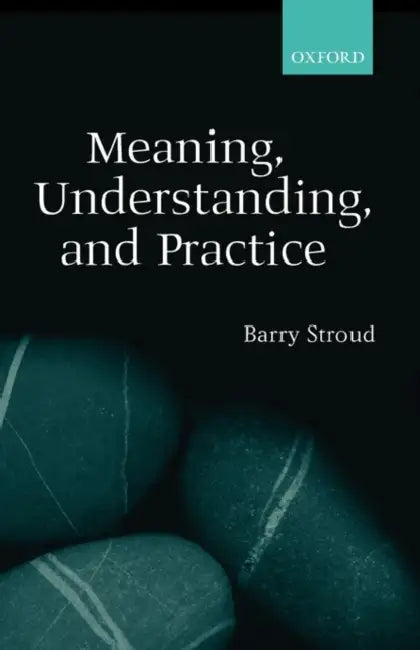 Meaning, Understanding, and Practice: Philosophical Essays by Paul Mojzes