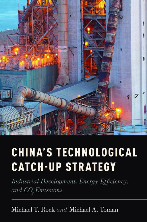 China'S Technological Catch-Up Strategy : Industrial Development, Energy Efficiency and CO2 Emissions by T. Rock & Toman/Michael Toman