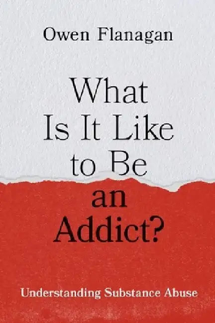What Is It Like to Be an Addict?: Understanding Substance Abuse by Owen Flanagan