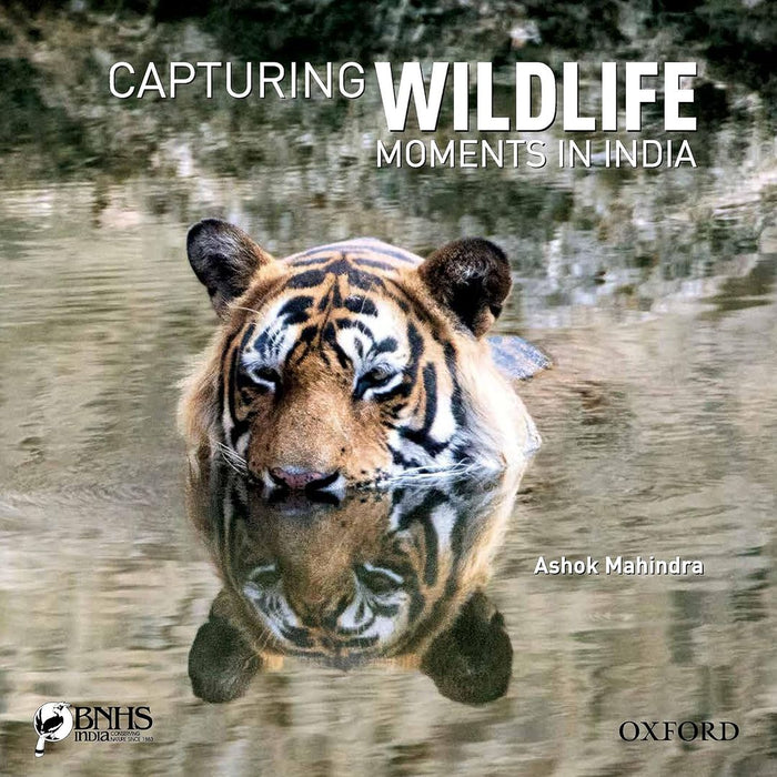Capturing Wildlife Moments in India