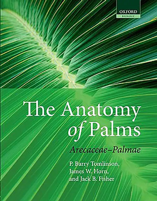 The Anatomy of Palms : by Tomlinson Et Al