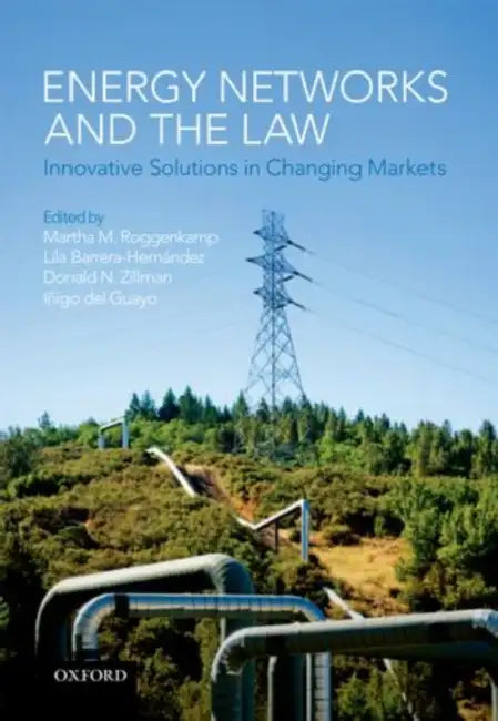 Energy Networks and the Law: Innovative Solutions in Changing Markets by Martha M. Roggenkamp, Lila Barrera-Hernandez, Donald N. Zillman