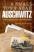 A Small Town Near Auschwitz : by Fulbrook