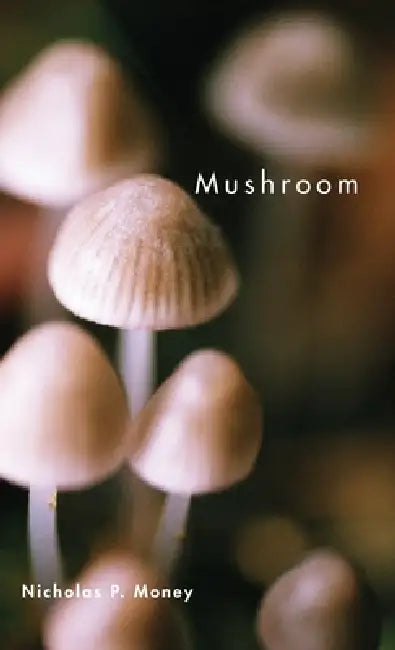 Mushroom by Nicholas P. Money