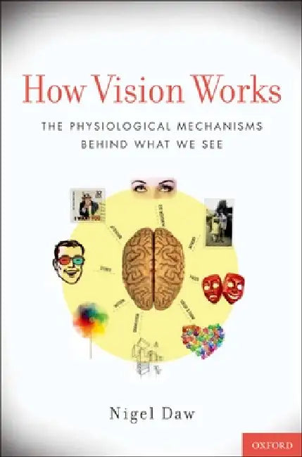 How Vision Works: The Physiological Mechanisms Behind What We See by Nigel Daw