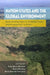 Nation-States and the Global Environment: New Approaches to International Environmental History by Erika Marie Bsumek, David Kinkela, Mark Atwood Lawrence