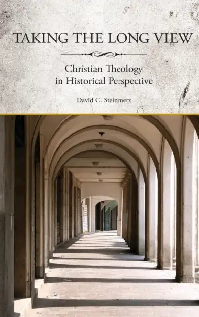 Taking the Long View: Christian Theology in Historical Perspective by David Steinmetz