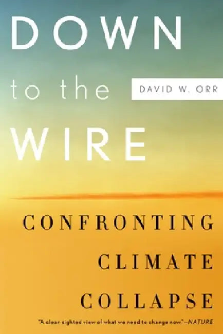 Down to the Wire: Confronting Climate Collapse by David W. Orr