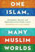One Islam, Many Muslim Worlds: Spirituality, Identity, and Resistance Across Islamic Lands by Raymond William Baker