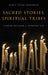 Sacred Stories, Spiritual Tribes: Finding Religion in Everyday Life by Nancy Tatom Ammerman