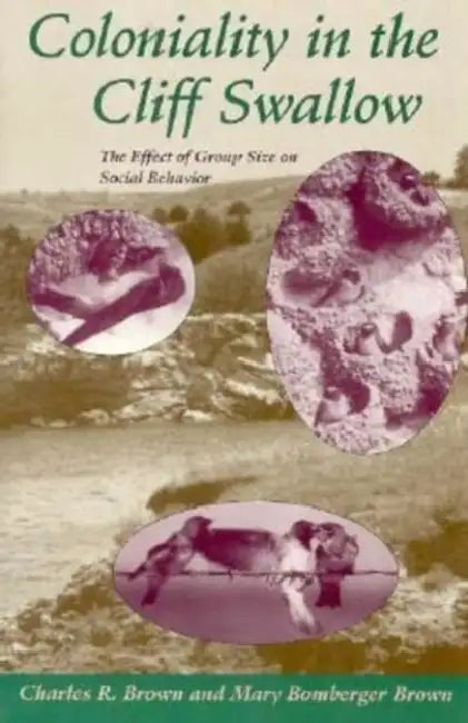 Coloniality in the Cliff Swallow: The Effect of Group Size on Social Behavior by Charles R. Brown, Mary Bomberger Brown