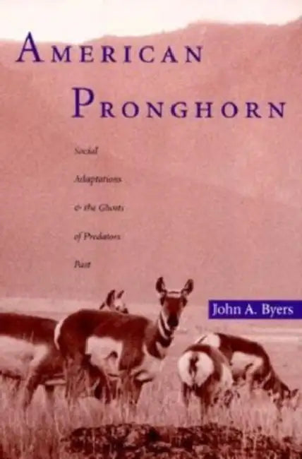 American Pronghorn: Social Adaptations and the Ghosts of Predators Past by John A. Byers