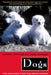 Dogs: A New Understanding of Canine Origin, Behavior and Evolution by Raymond Coppinger