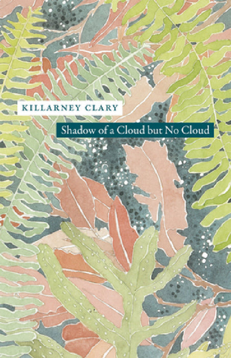 Shadow of a Cloud but No Cloud by Killarney Clary