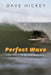 Perfect Wave: More Essays on Art and Democracy by Dave Hickey