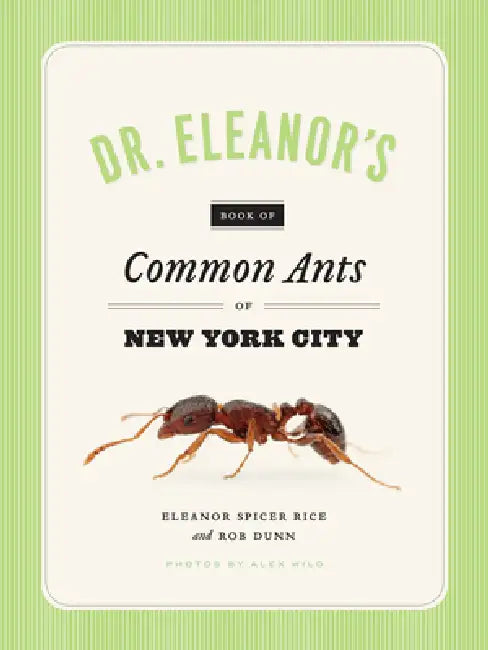 Dr. Eleanor's Book of Common Ants of New York City by Eleanor Spicer Rice, Alex Wild, Rob Dunn