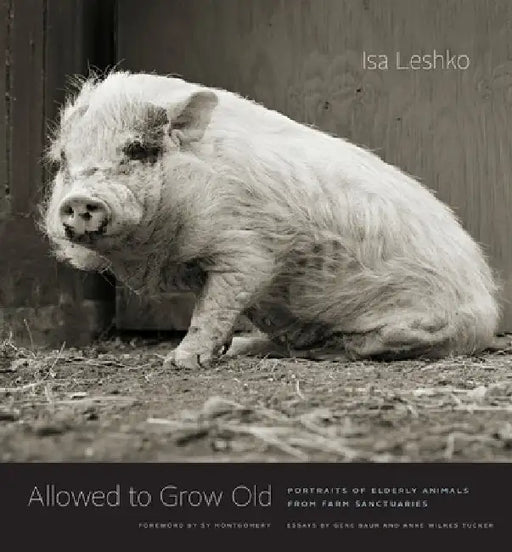 Allowed to Grow Old: Portraits of Elderly Animals from Farm Sanctuaries by Isa Leshko
