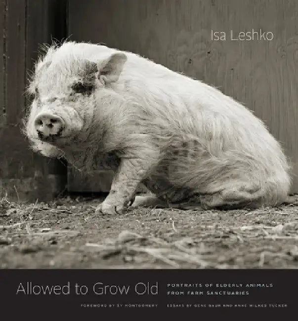 Allowed to Grow Old: Portraits of Elderly Animals from Farm Sanctuaries by Isa Leshko