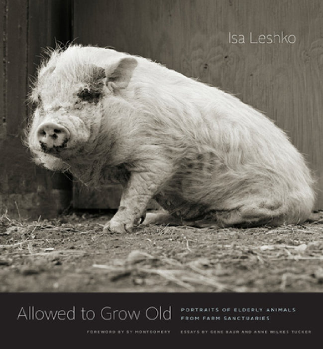 Allowed to Grow Old: Portraits of Elderly Animals from Farm Sanctuaries