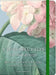 A Portable Latin for Gardeners: More Than 1,500 Essential Plant Names and the Secrets They Contain by James Armitage