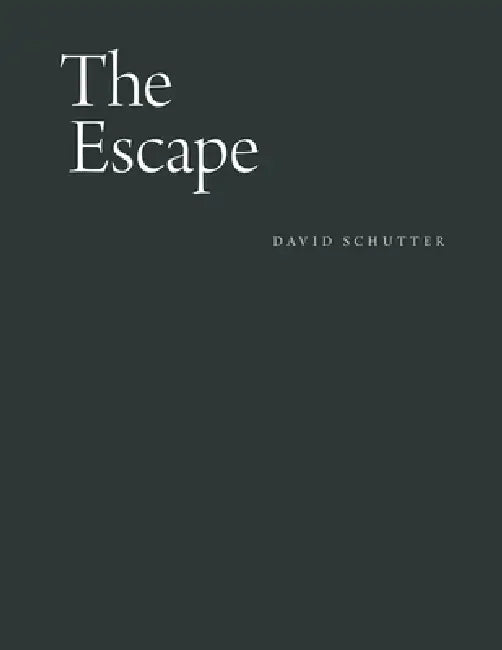 The Escape: From a Seventeenth-Century Drawing Manual of the Face and Its Expressions by David Schutter, Barry Schwabsky, Dieter Roelstraete