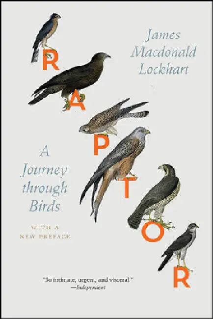 Raptor: A Journey Through Birds by James MacDonald Lockhart, James MacDonald Lockhart