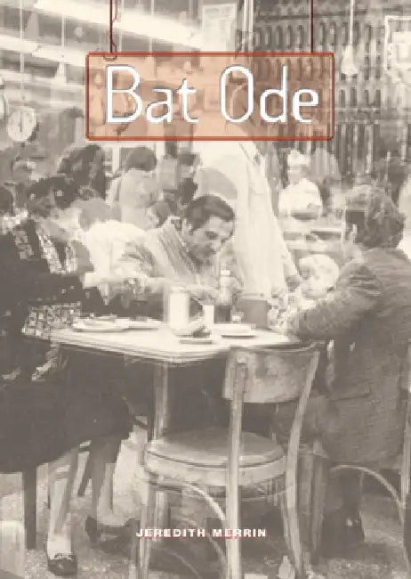 Bat Ode by Jeredith Merrin