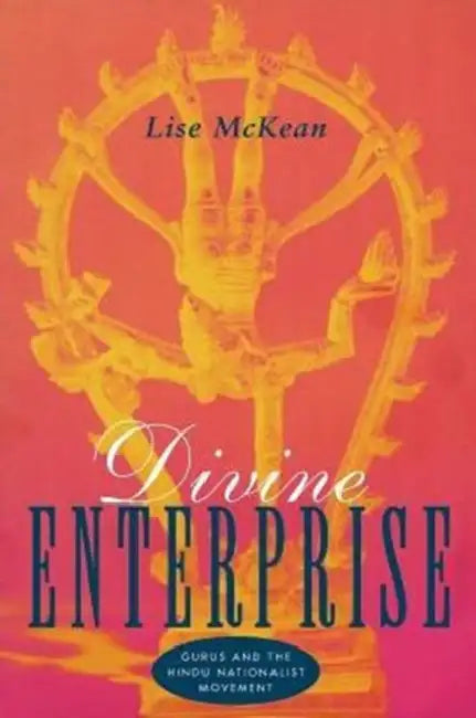 Divine Enterprise: Gurus and the Hindu Nationalist Movement by Lise McKean