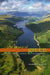 The Dawn of Green: Manchester, Thirlmere, and Modern Environmentalism by Harriet Ritvo